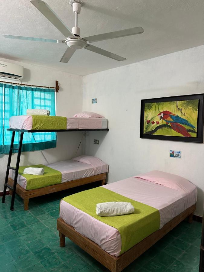 فالادوليد Hostel 35 المظهر الخارجي الصورة